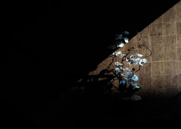 a blue flower in a vase next to a wall