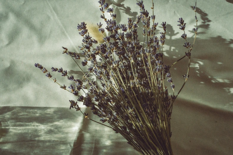 a bouquet of dried flowers is laying on the ground