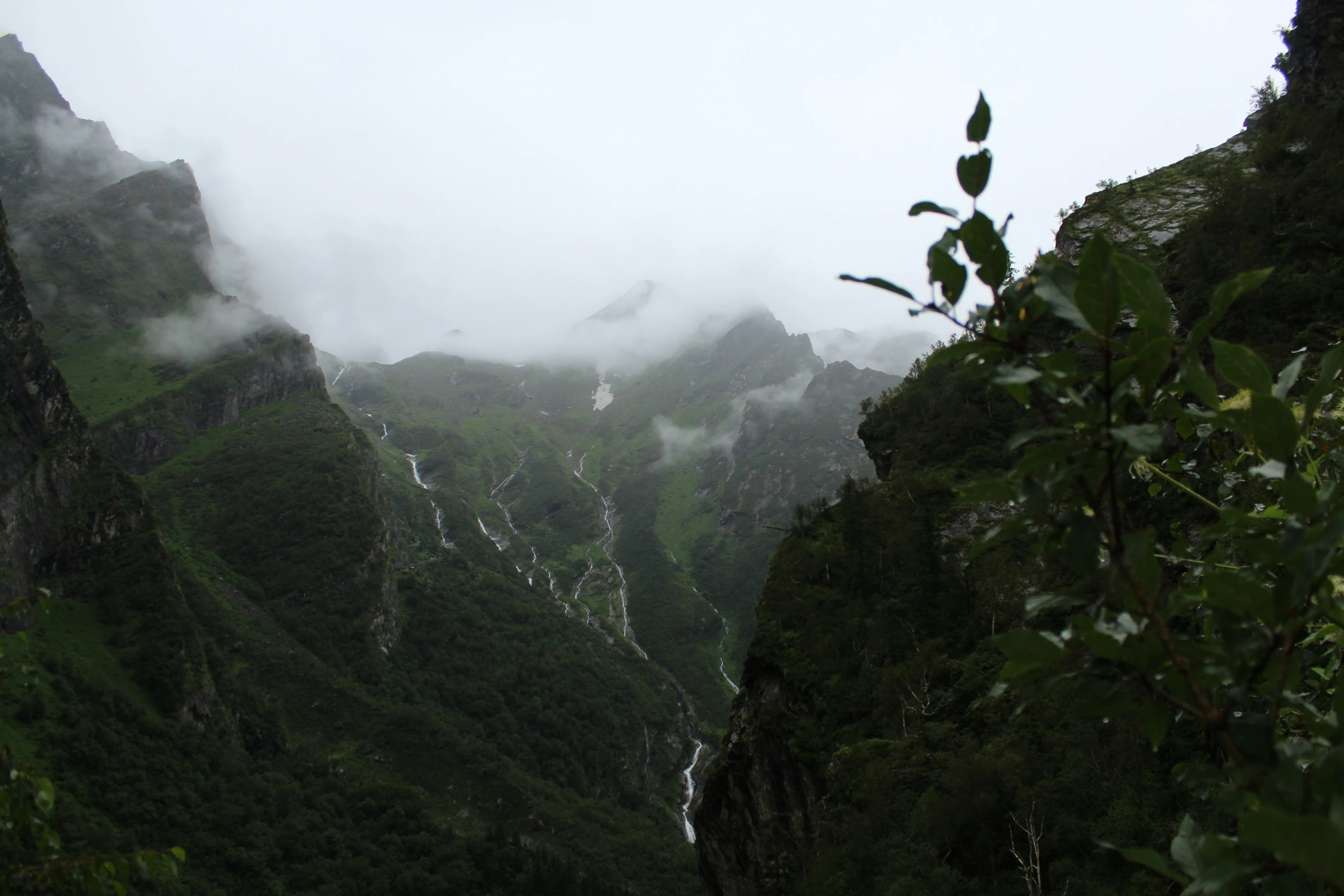 a lush green valley covered in tall mountains