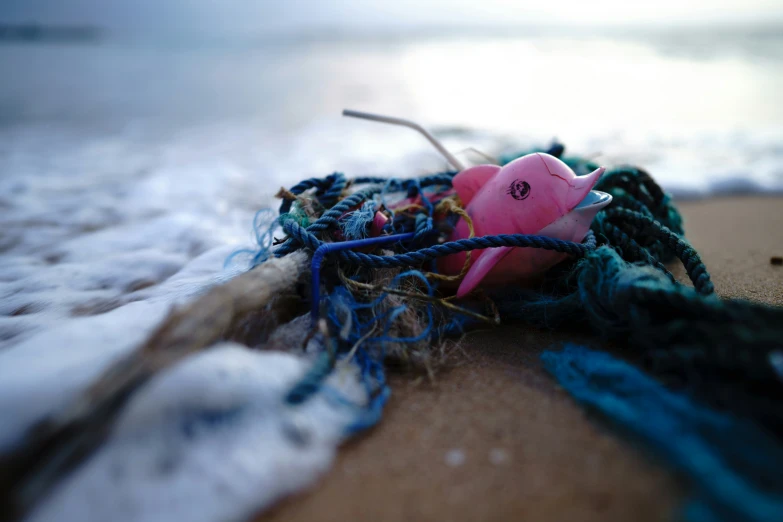 a toy laying on top of a blanket next to the ocean