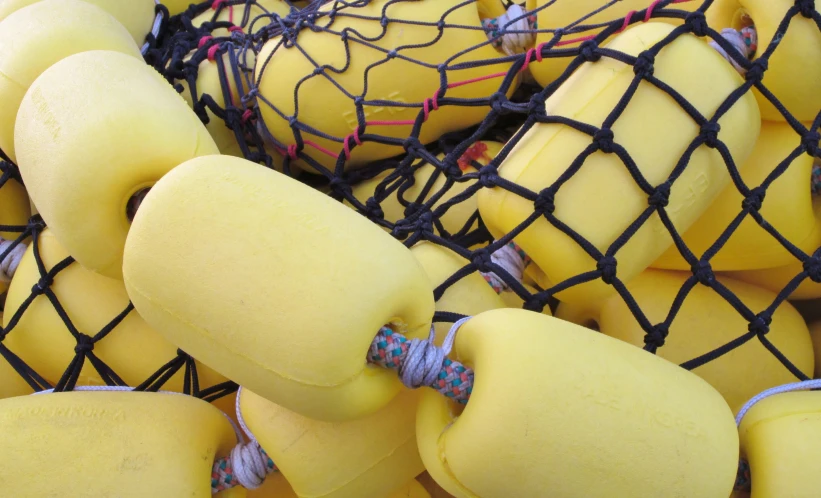 the yellow fruit are in the nets of the bag