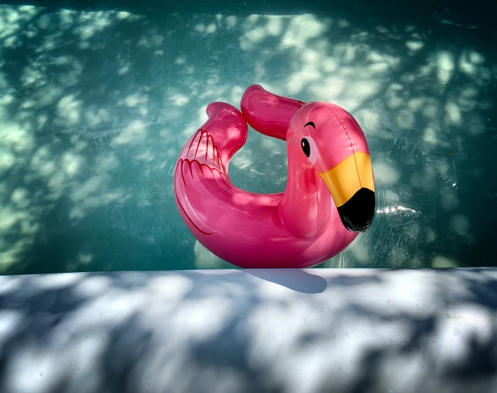 a pink flamingo floating in the water, with a red floatie on it