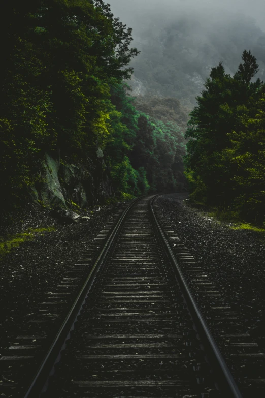 an empty rail line is surrounded by trees