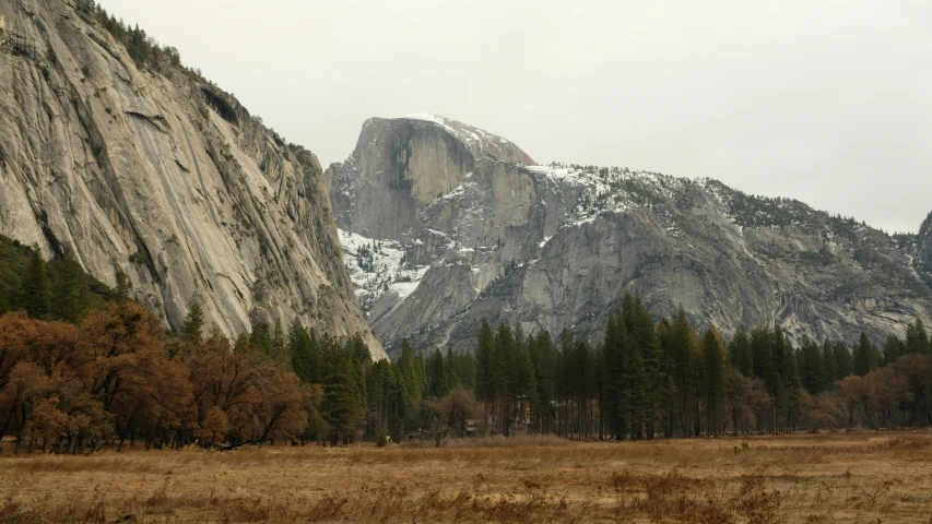 a valley with trees and large mountains next to each other