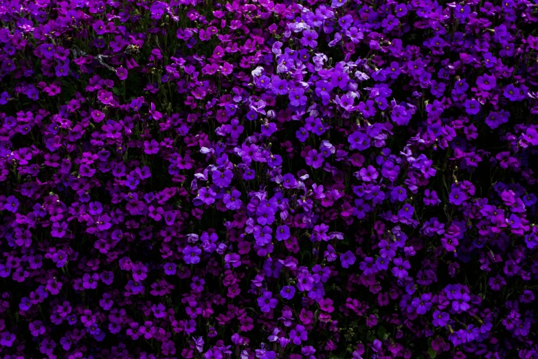 an arrangement of purple flowers are in a field