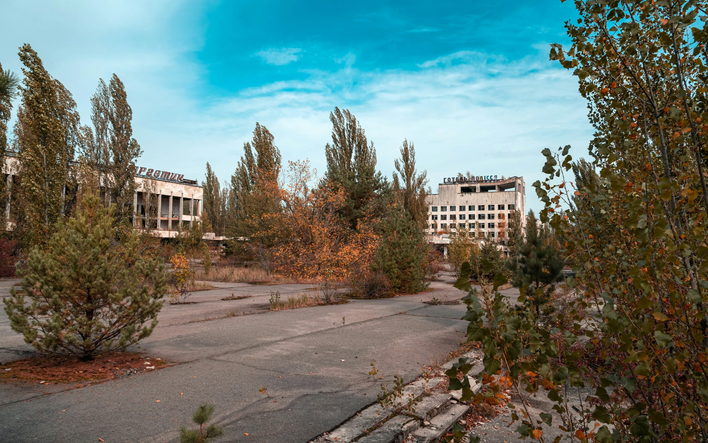 an old building sits among trees with some red leaves