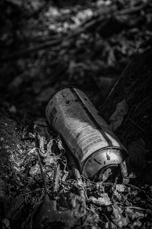 a bottle lying on a ground and leaves