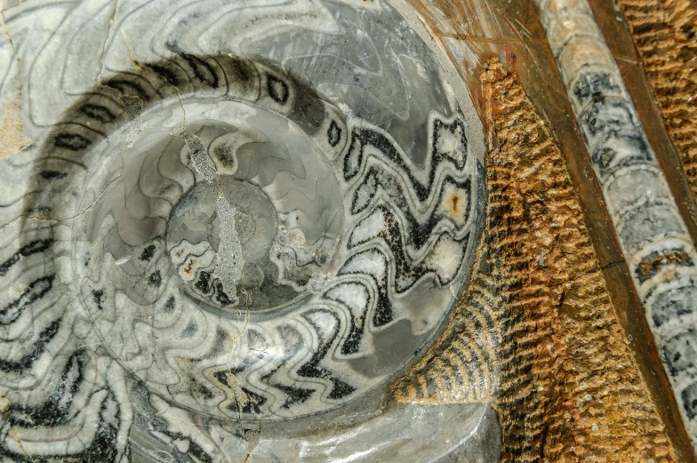 a marble bowl with an animal design inside