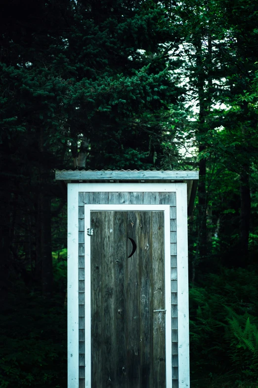 a wooden outhouse near a lush green forest