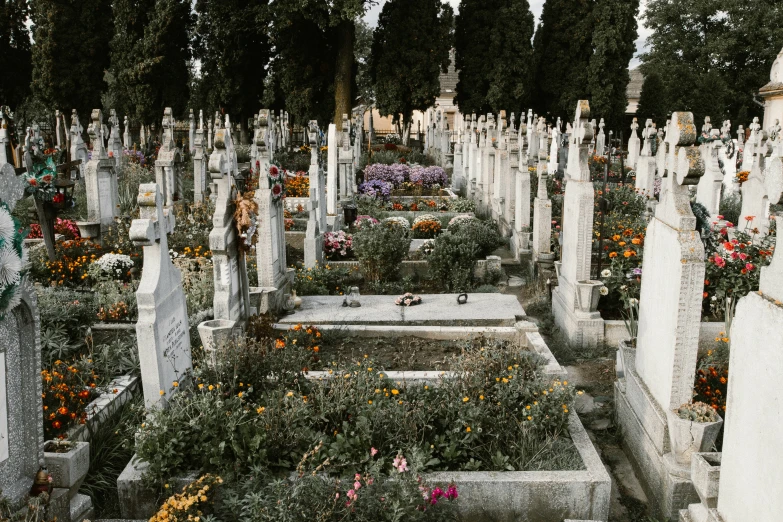 a group of headstones with a variety of flowers around them