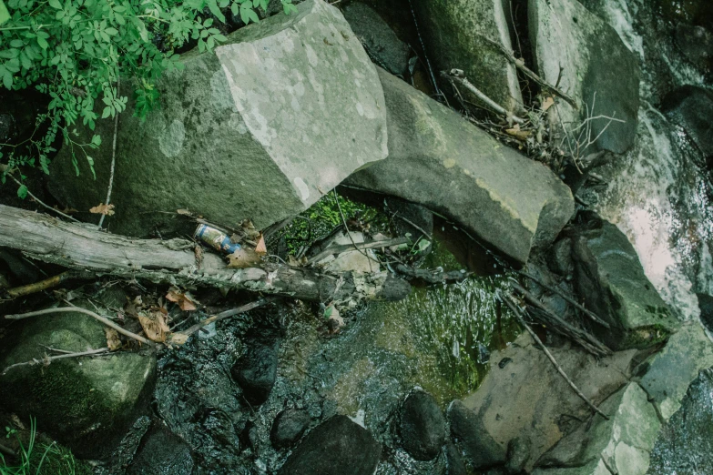 an image of rocks, water and green vegetation