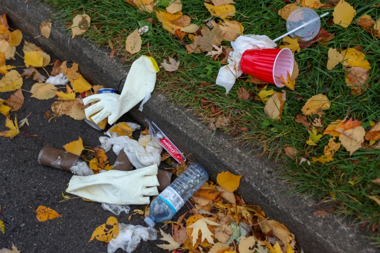 an area of a lawn with leaves and dead objects scattered