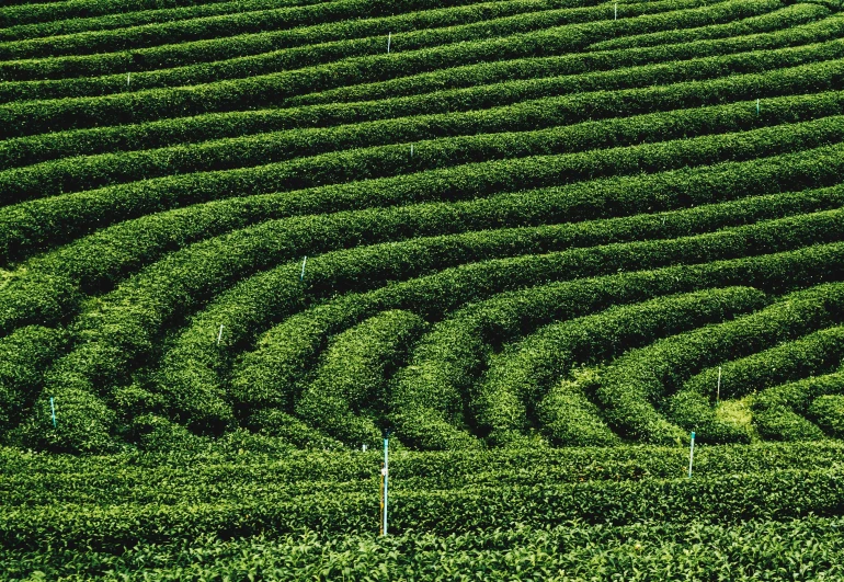 an aerial view of a large lush green hill