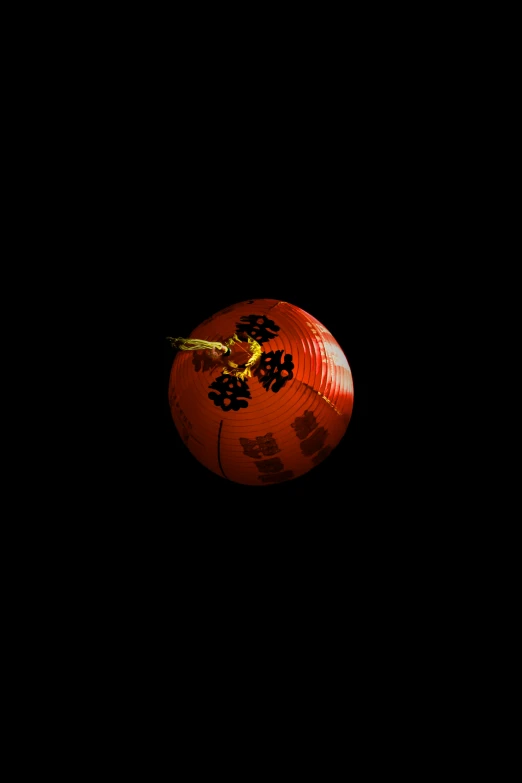 an orange apple with flowers on it in the dark