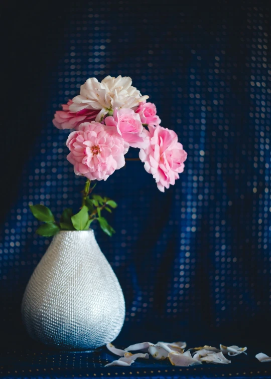 two pink and white flowers in a vase on a table
