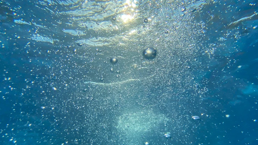 some bubbles in the water are under the surface