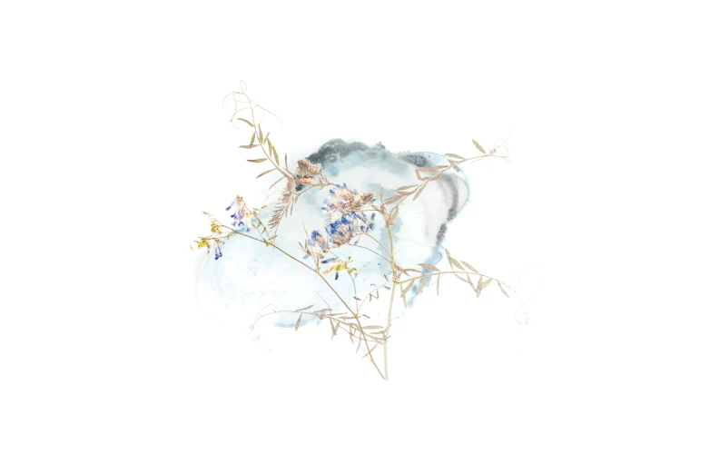 a watercolor of blue flowers on white background