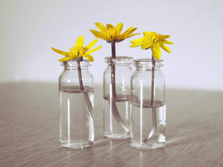 a couple of vases with flowers inside them