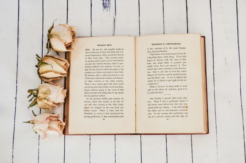 an open book with flowers on a table