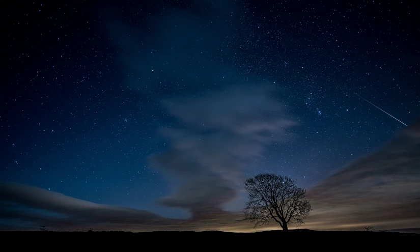 a lone tree and some stars in the sky