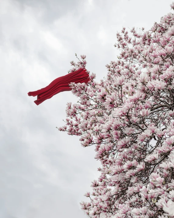 a large red kite flying in the air on top of a tree