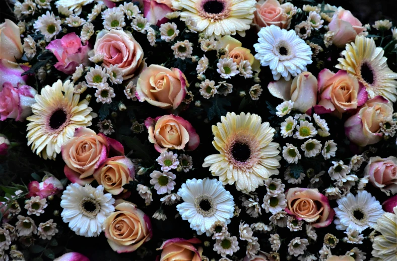 a bouquet of flowers arranged with other flowers