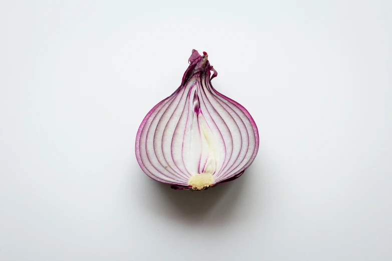 a red onion on a white background looks like an odd shape