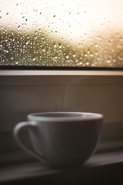 there is a cup on the window sill