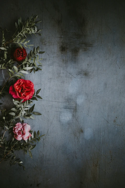 roses on a blue table with the top flowers