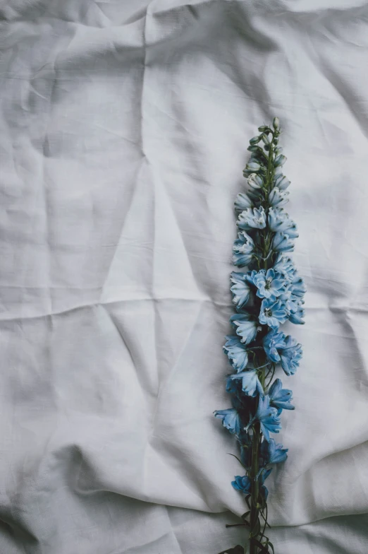 a floral display set in the bed is on the table