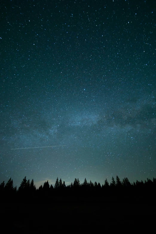 a night sky filled with stars above trees