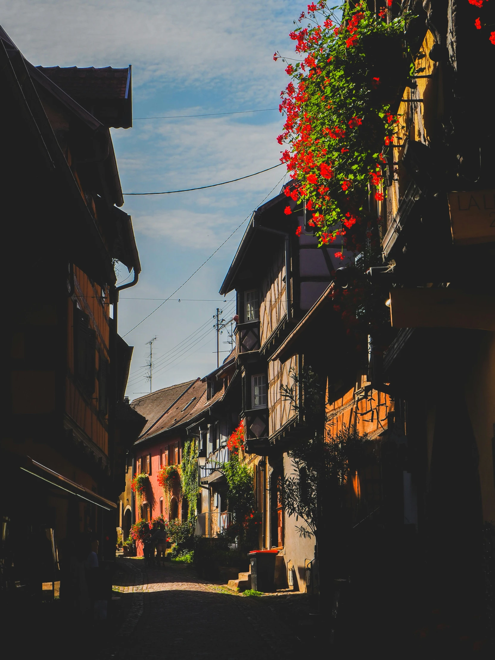 a street scene showing some buildings with hanging flowers