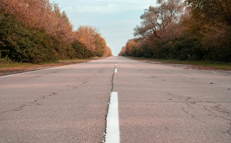 a long road running through the middle of trees