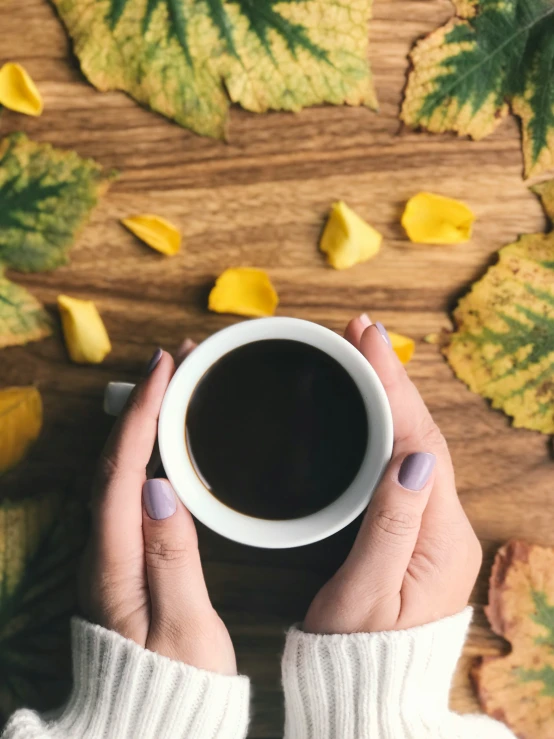 hands holding a white cup of coffee in front of leaves