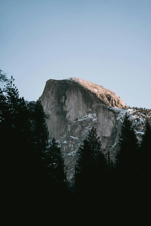 a mountain in the background and a line of trees under it