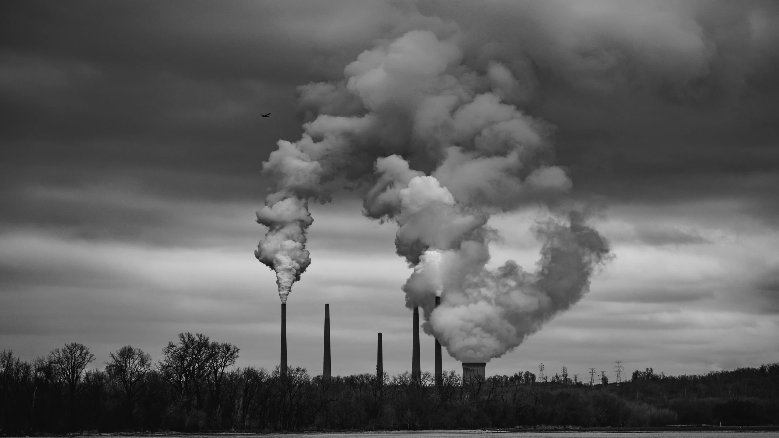 smoke stacks rise from the top of several power plants