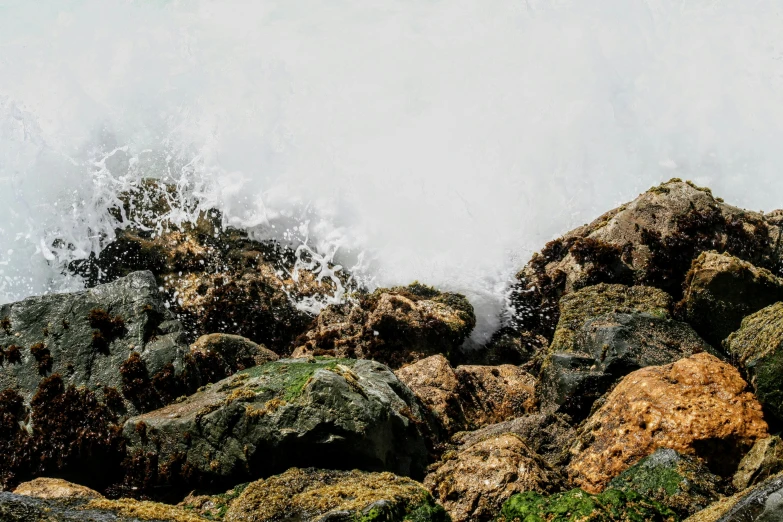 a bird sitting on the rocky shore with waves breaking