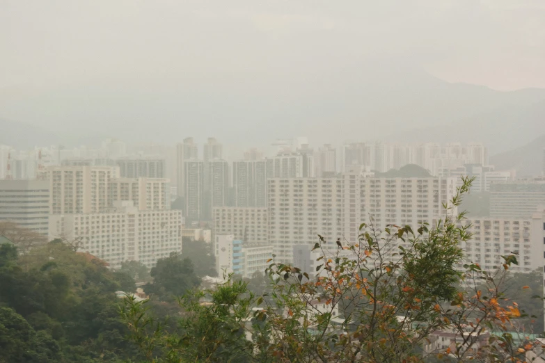 a misty cityscape of buildings and trees near by