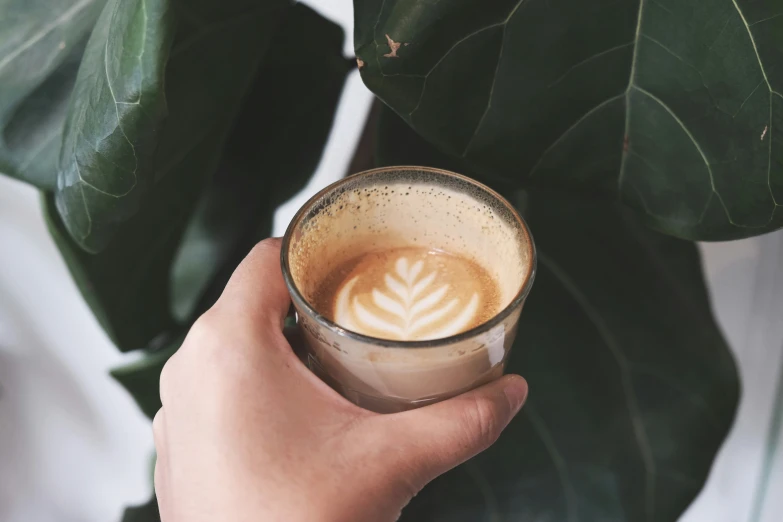 a cup of coffee sits next to some leaves