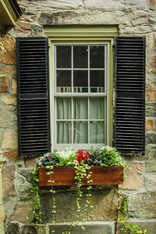 the window is surrounded by three wooden shutters