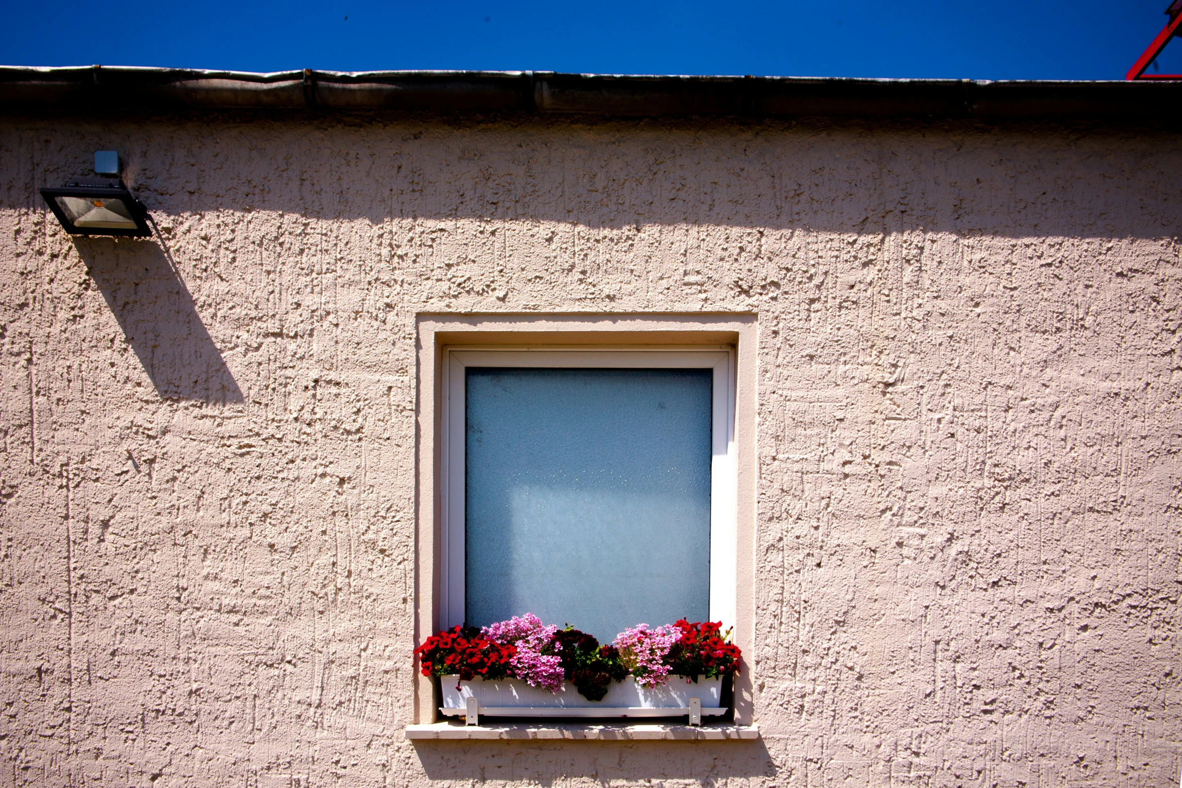 a building with two flowers on it, and one window