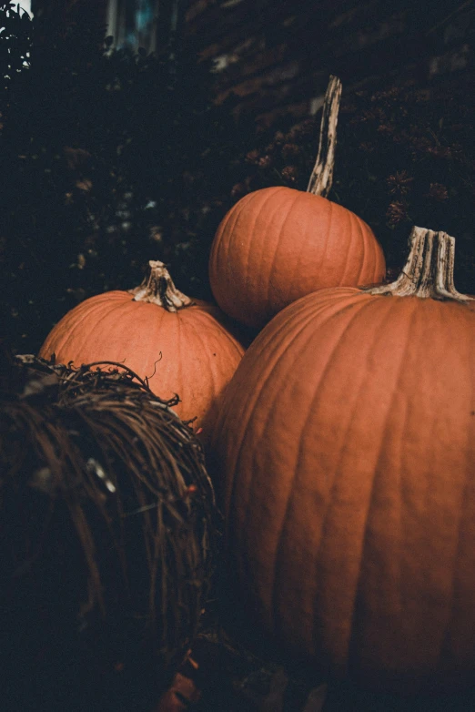 several orange pumpkins are in an old wire basket