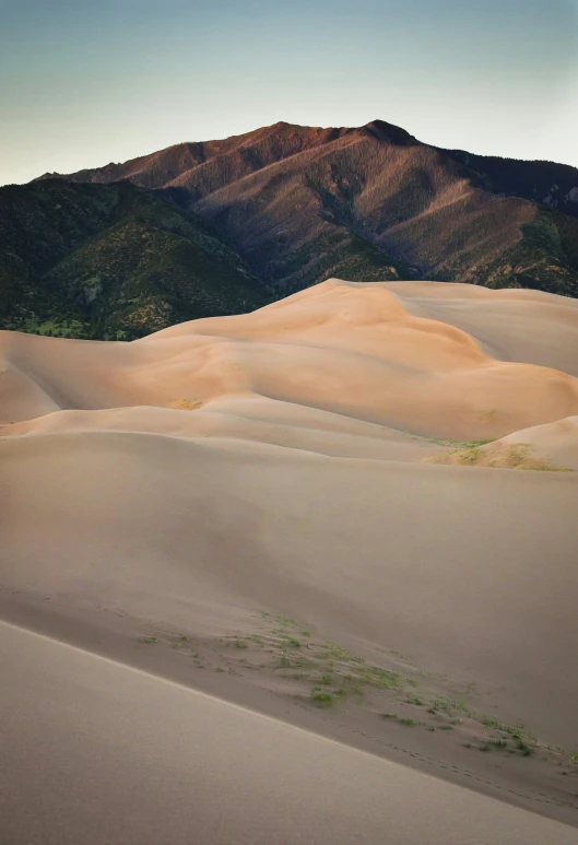 the desert is empty with many sand dunes