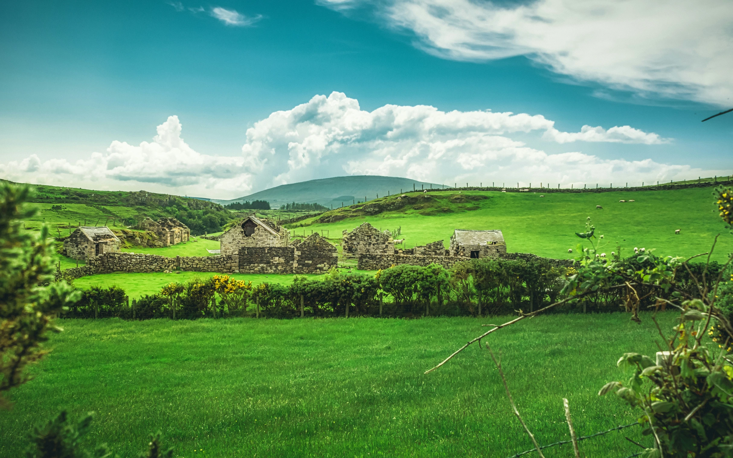 a green landscape with many small houses