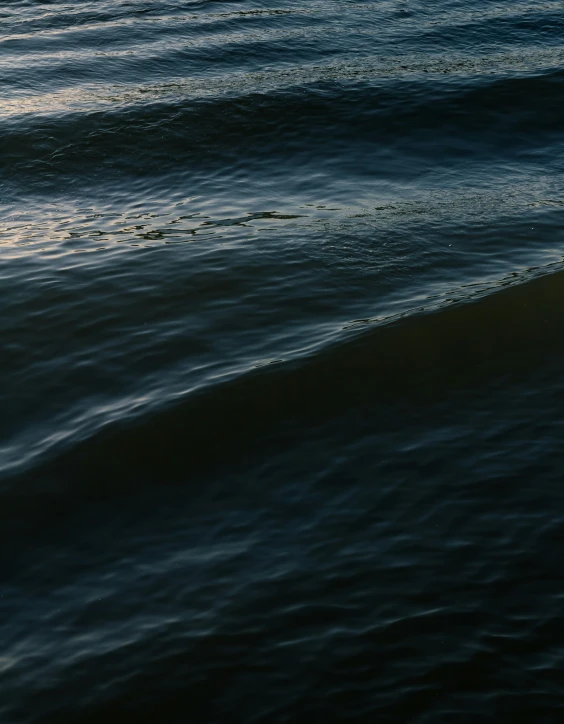 a surfer balances his board on top of the ocean