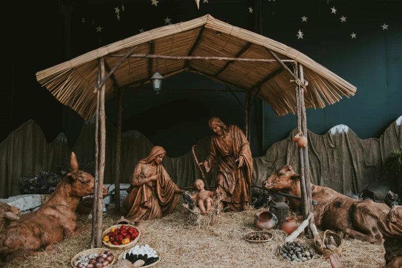 an image of a nativity scene with animals