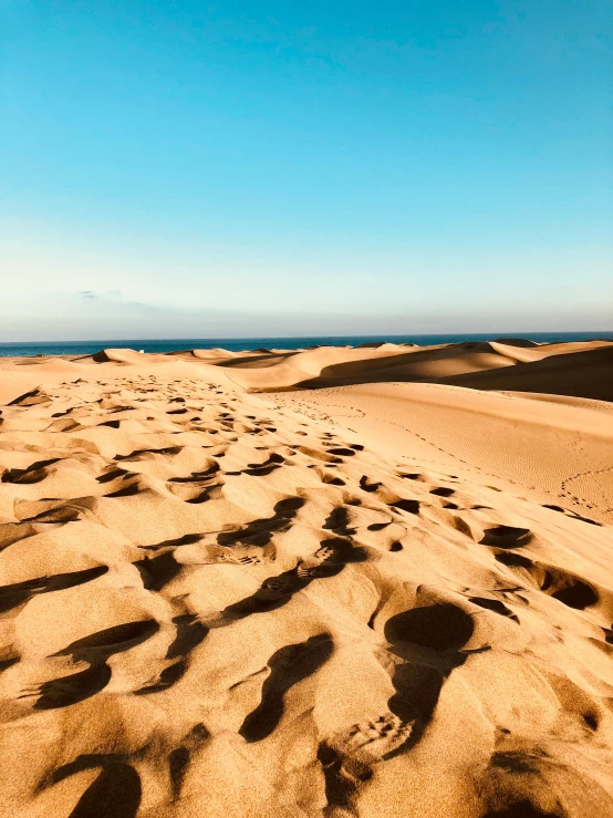 a sandy beach with tracks made by people on it