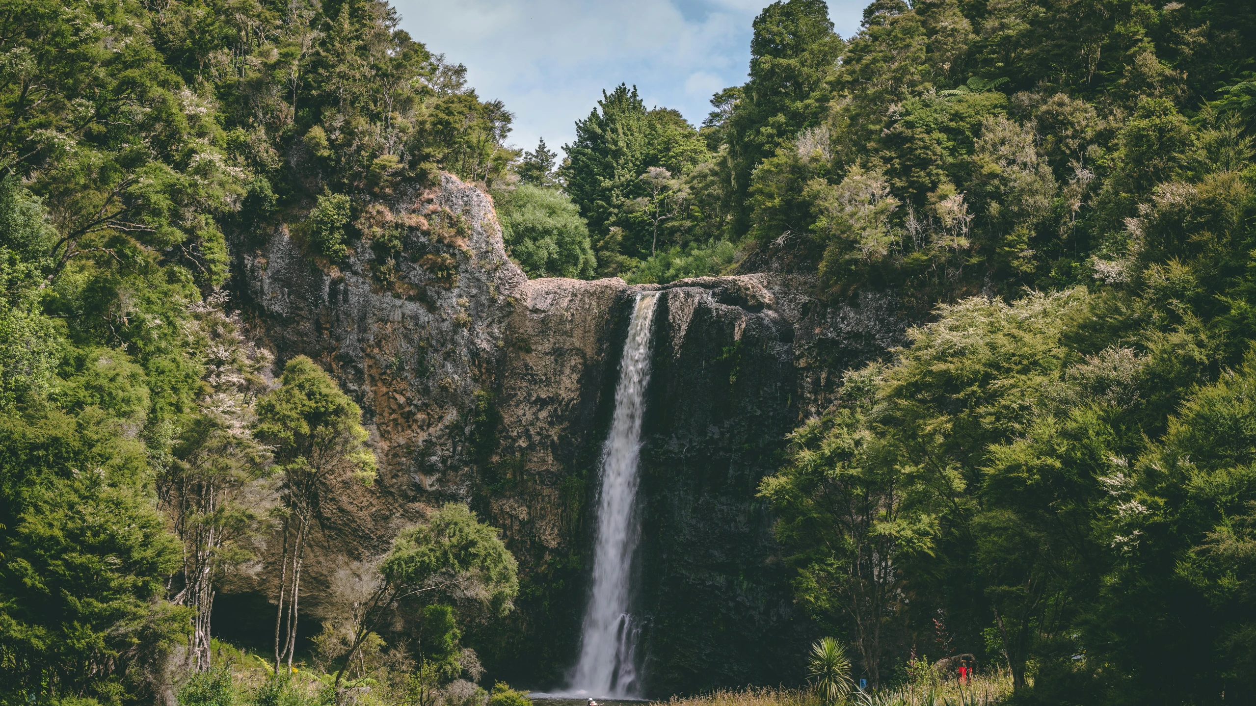 a waterfall that is very high up in the trees