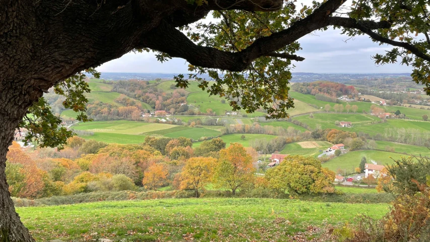 view of countryside in fall from the peak of a hill