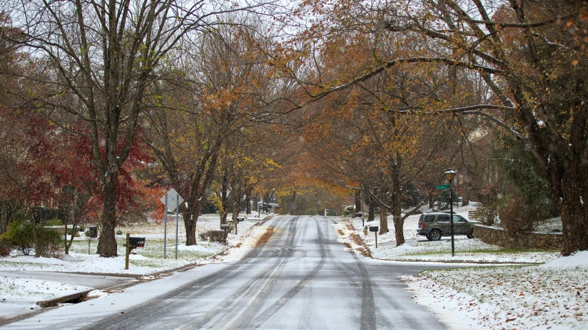 a road is lined with lots of snow